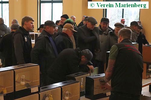14.Vogel- & Kleintiermarkt 29.Februar 2020