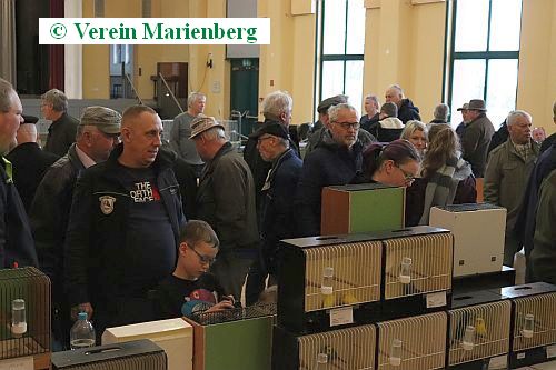 14.Vogel- & Kleintiermarkt 29.Februar 2020