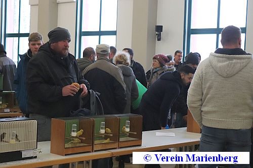 15. Vogel- & Kleintiermarkt am 04.März 2023