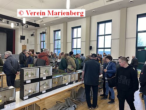 16.Vogelmarkt 2024