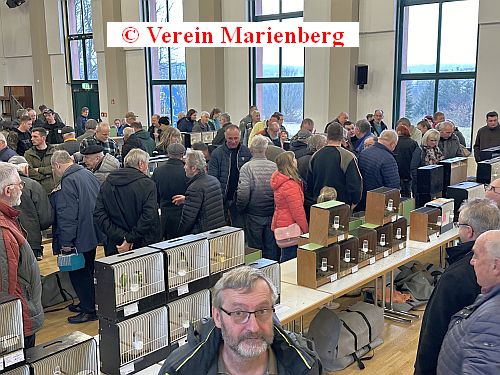 16.Vogelmarkt 2024