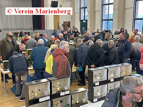 16.Vogelmarkt 2024
