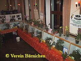 Exotische Pflanzen und Vögel