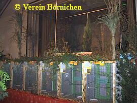 Vögel aus Asien in unserer Großvoliere