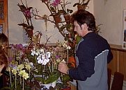 Orchideenverkaufsschau