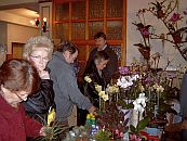 Orchideenverkaufsschau