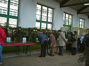 Sachsenschau 2004
