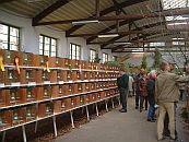 Bewertungsvögel