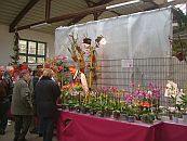 Orchideenverkaufsschau