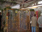 Sachsenschau 2004