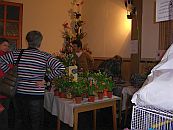 Orchideenverkaufsschau