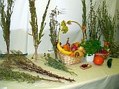 Futtermittelsammlung