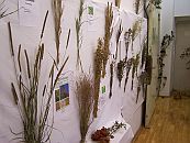 Futtermittelsammlung