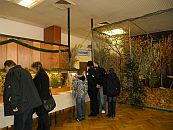 Prachtfinkenvitrinen