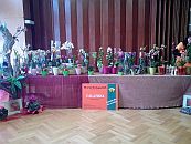 Orchideenverkaufsschau