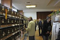 Besucher