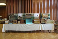 Historische Vogelbauer