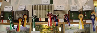 Championvögel SKV & AZ