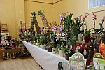 Orchideenverkauf