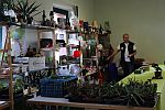 Tombola