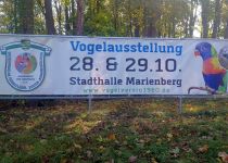 Vereinsschau 2023