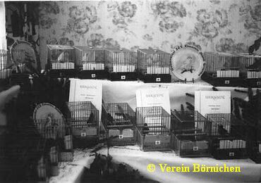 Vereinsschau 1990