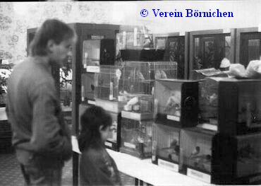 Vereinsschau 1990