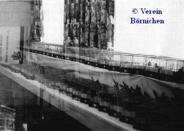 Vereinsschau 1990