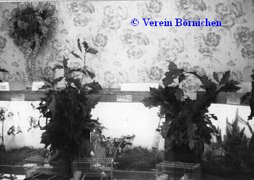 Vereinsschau 1990
