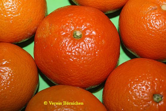 Mandarine