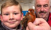 Vogelmarkt 2019