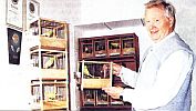 Sachsenschau 2004