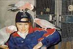 Vereinsschau 2003