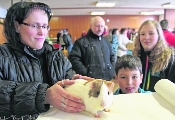 Vogel- & Kleintiermarkt 2014
