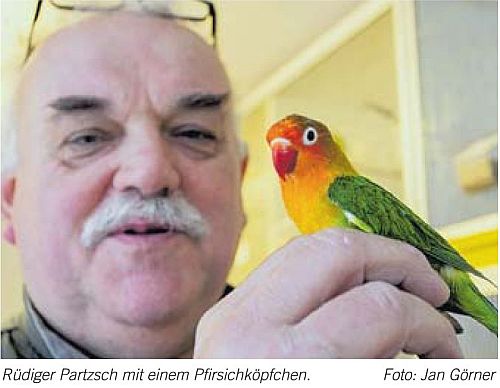 Vogel- & Kleintiermarkt 2020