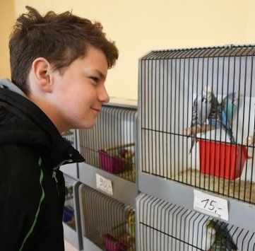 Vogel- & Kleintiermarkt 2020
