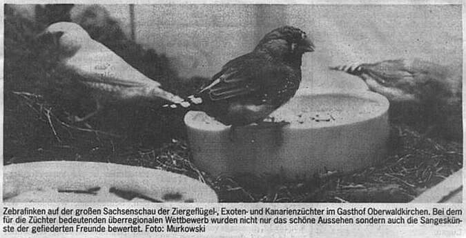 Sachsenschau 1992