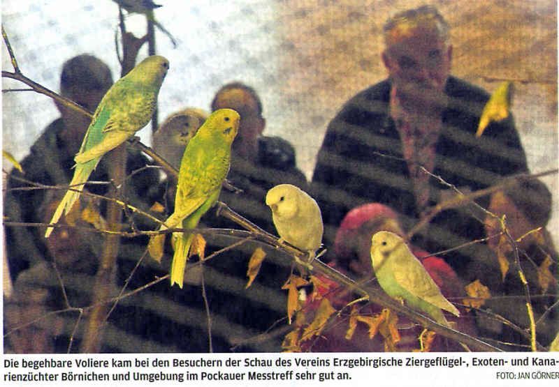 Vereinsschau 2011