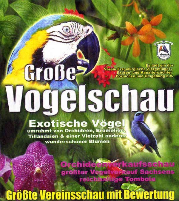 Vereinsschau 2013
