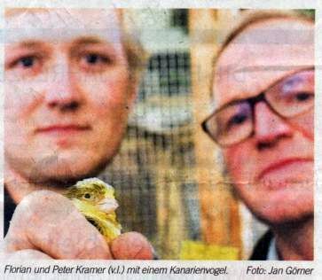 Vereinsschau 2017