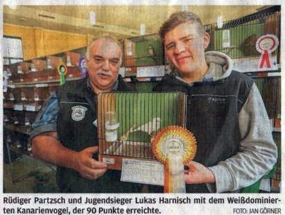 Vereinsschau 2017