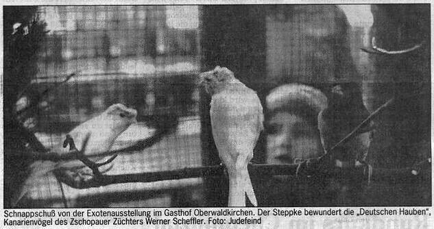 Vereinsschau 1993