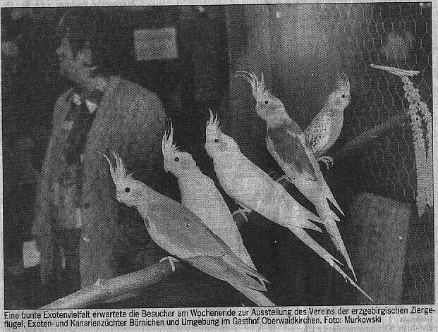 Vereinsschau 1996