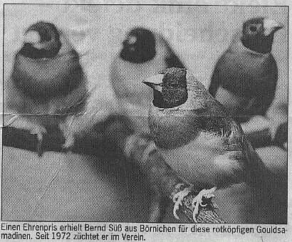 Vereinsschau 1997