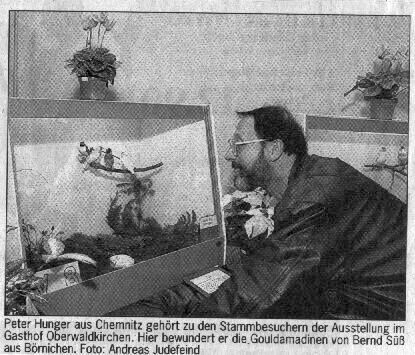 Vereinsschau 1998