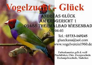 Vogelzucht Andreas Glück