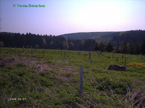 Vogelstimmenwanderung 2006